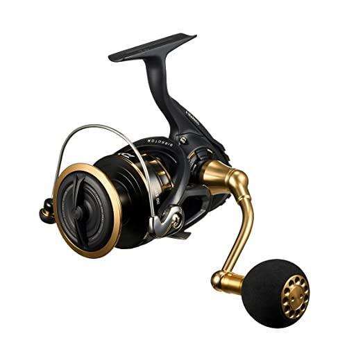 Daiwa 23 BG SW 6000D-P Spinning Reel