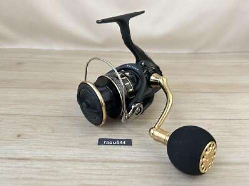 Daiwa 23 BG SW 4000D-CXH Spinning reel Black/Gold Metal (2023 model)