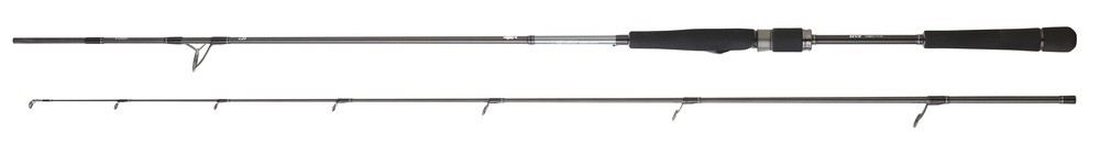 Daiwa Saltist Seabass