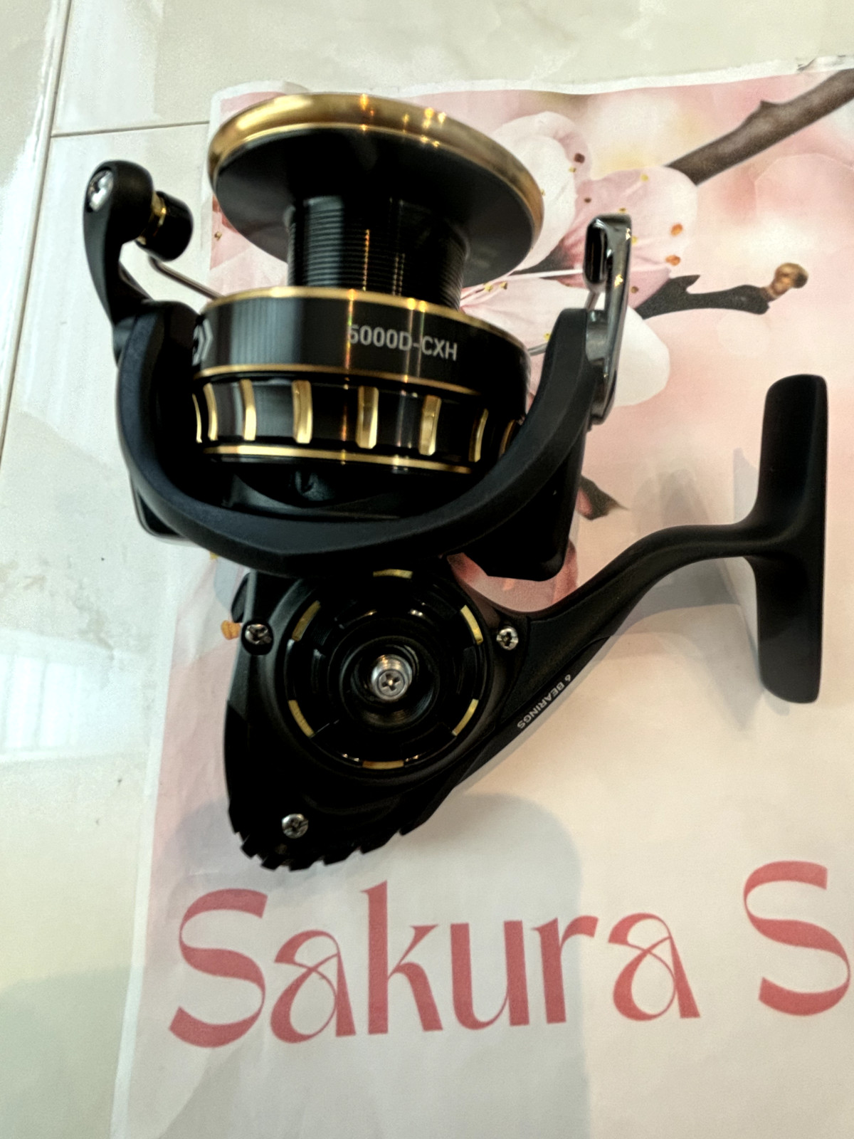 Daiwa 23 BG SW 5000D-CXH Spinning Reel Free Shipping Japan New