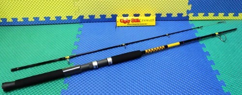 Ugly Stik Bigwater 7′ 0″‘ Spin Rod Medium 2-Piece BW1020S702 M 1539202