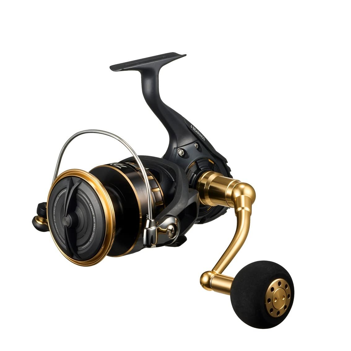 Daiwa Spinning Reel 23 BG SW 10000-H Fishing gear Japan New