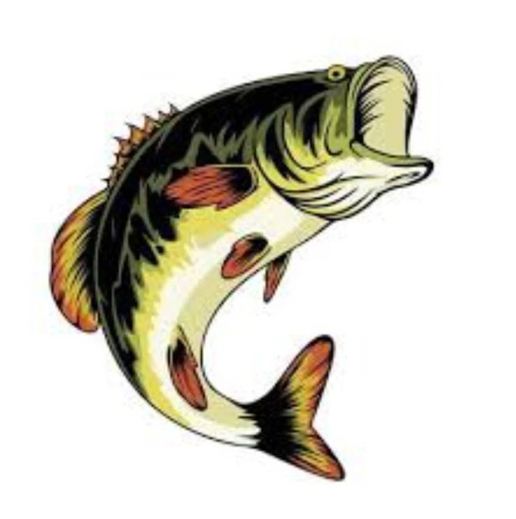 Bass Fishing Mystery Box Worms, Cranks, Frogs, Ploppers, Spinners Etc BRAND NEW