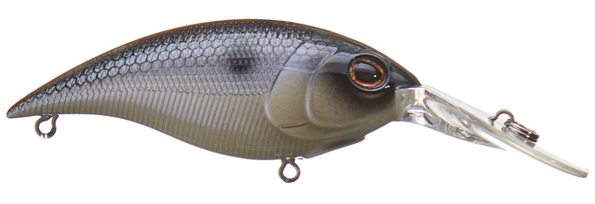 Berkley Money Badger 4