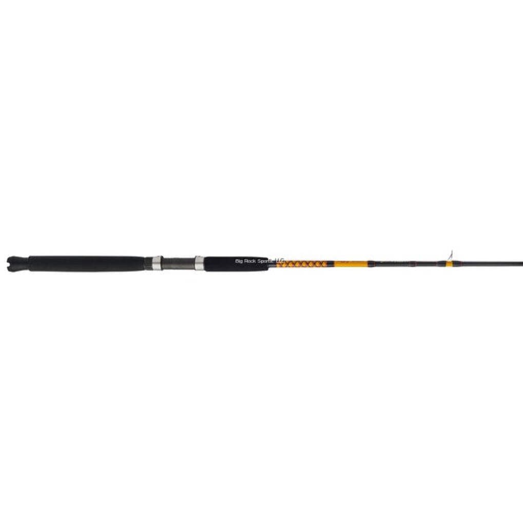 Shakespeare Ugly Stik Bigwater Stand Up BWSUAR3050C60 Conventional Rod 6′ 30-50l