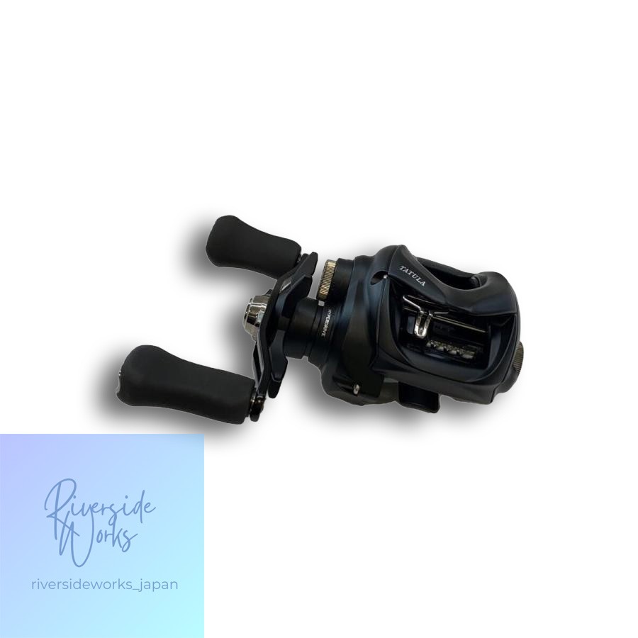 DAIWA 24 Tatula TW 100 Bait Reel 00630160 JP