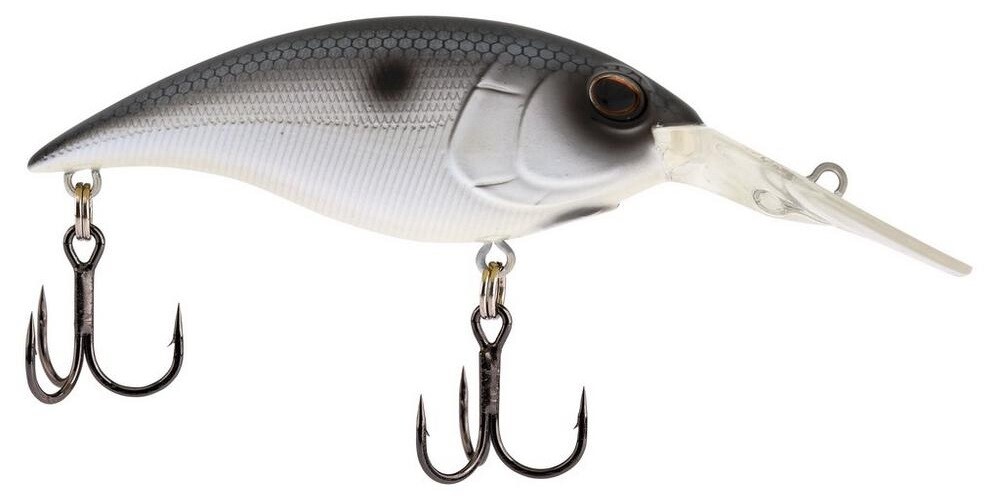 Berkley Money Badger 5