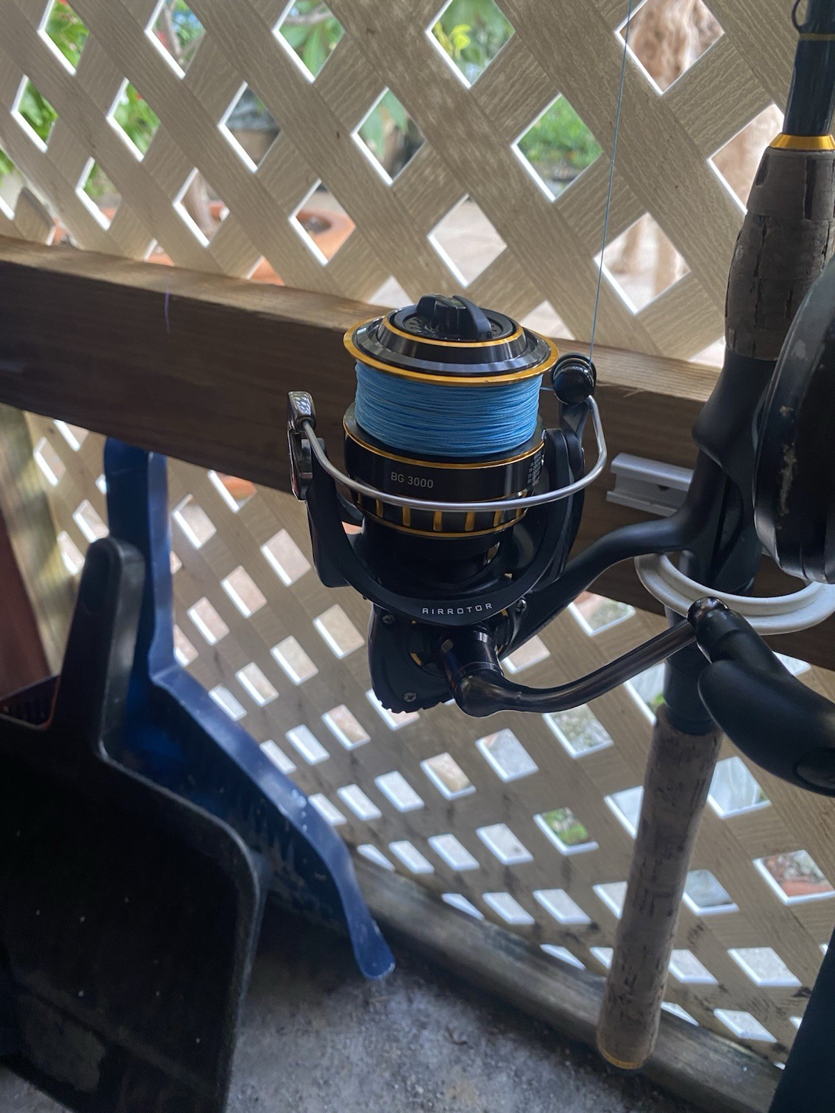 Daiwa BG3000 Saltwater Spinning Reel – Black