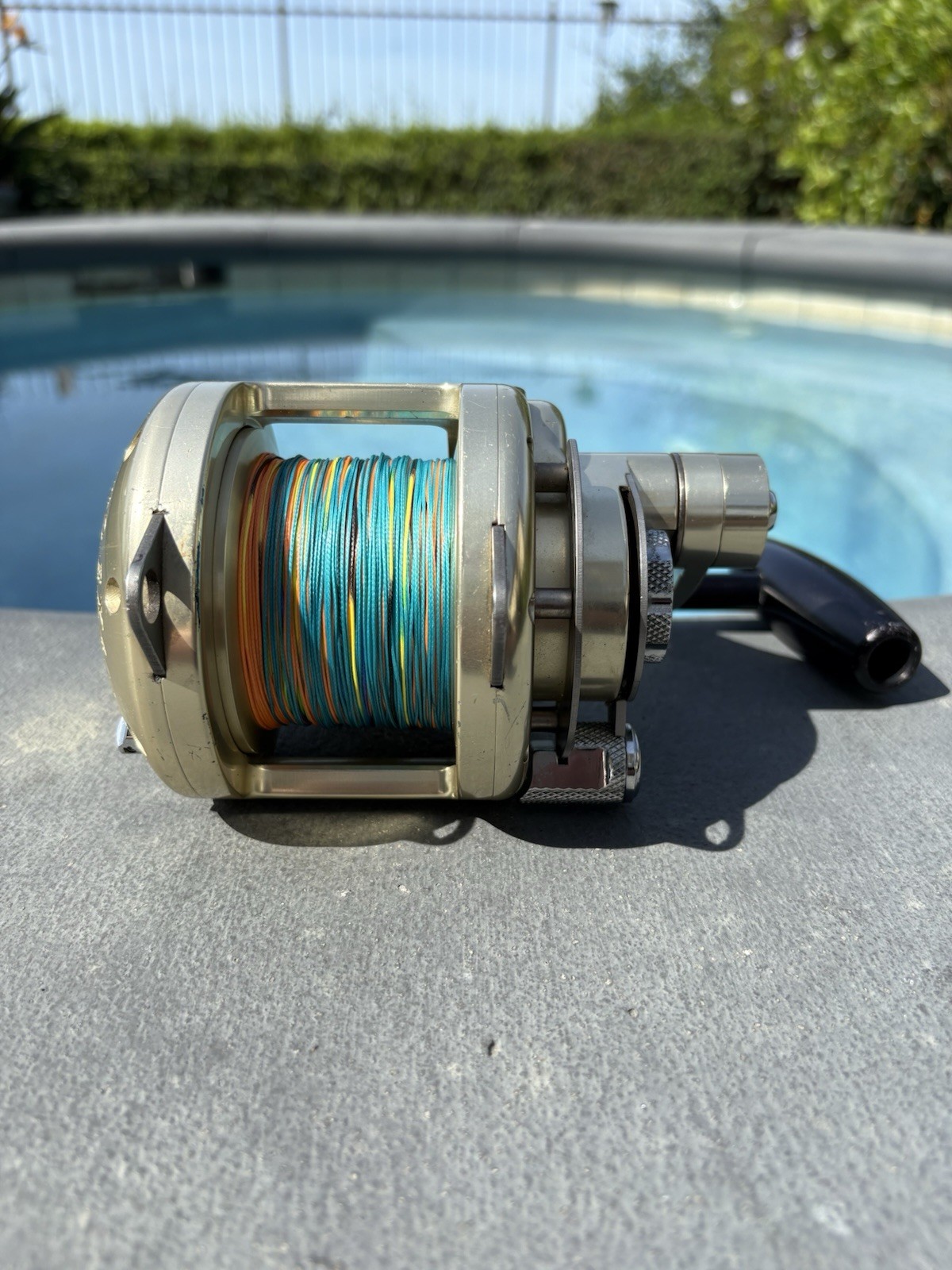 Avet Pro Ex 4/02 – 2 Speed