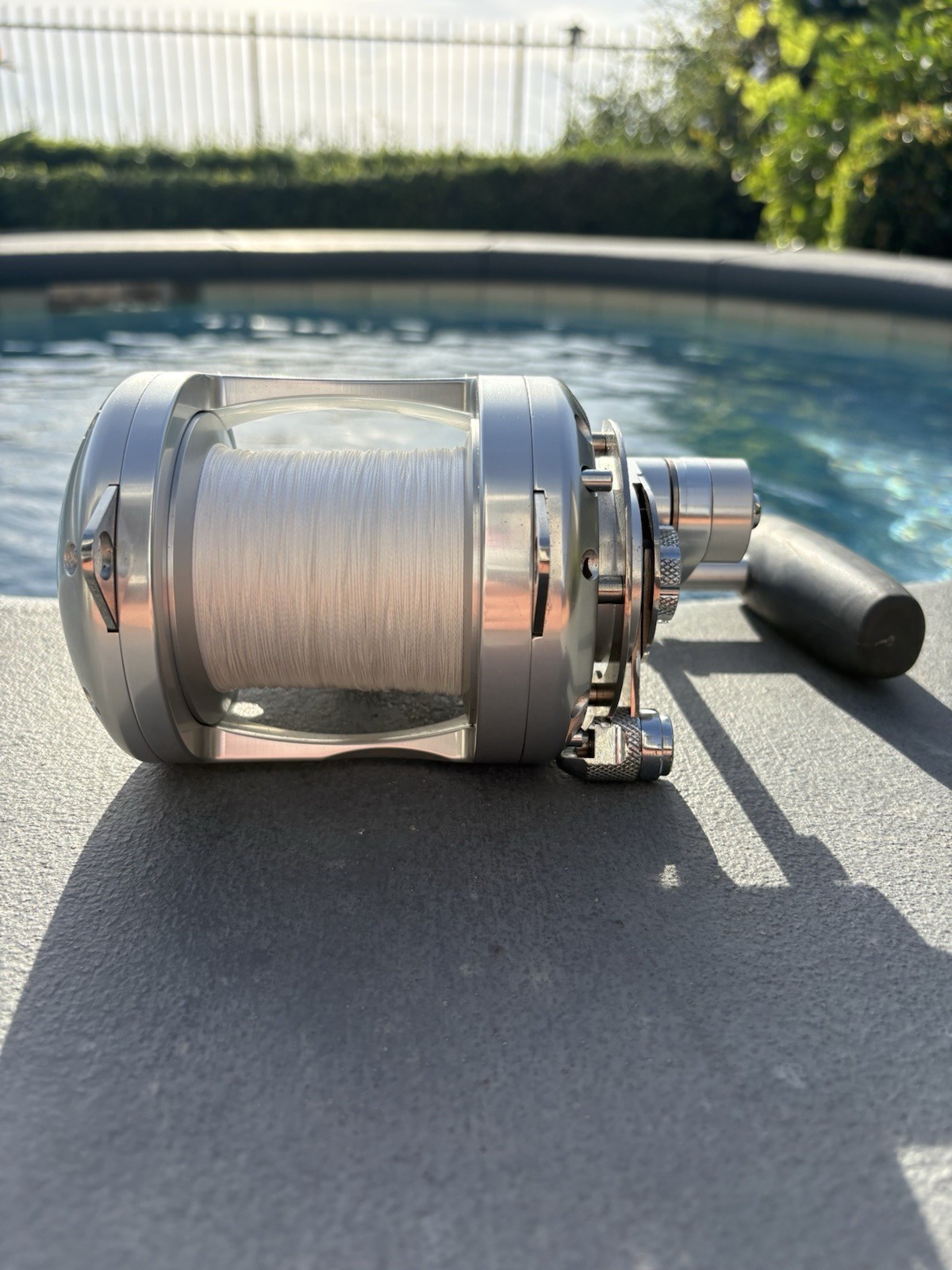 Avet Pro Exw 30/2 – 2 Speed