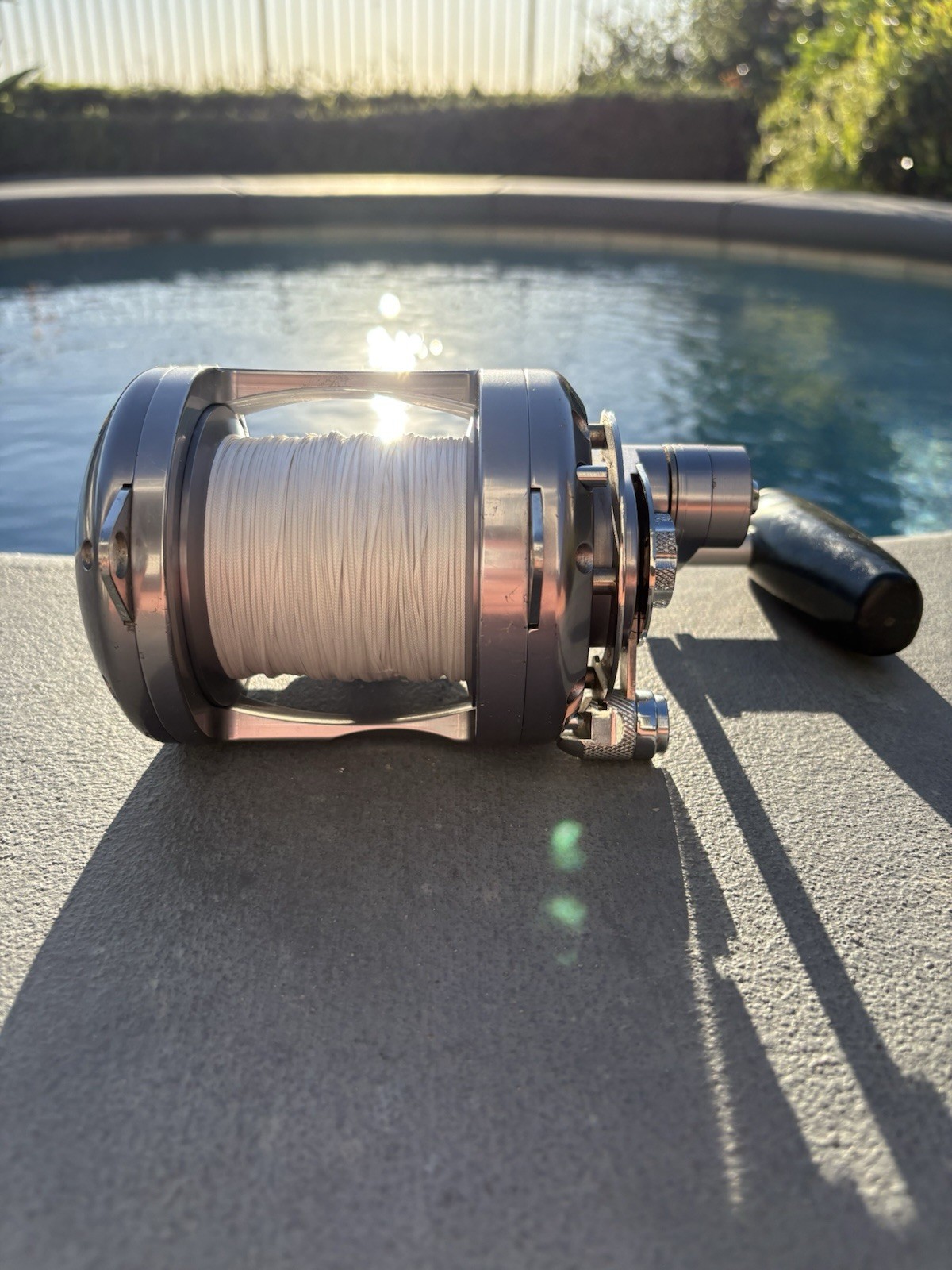 Avet Pro Exw 30/2 – 2 Speed