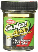 Berkley Gulp Alive 1in Green Shiner Minnows Soft Plastic Fishing Bait
