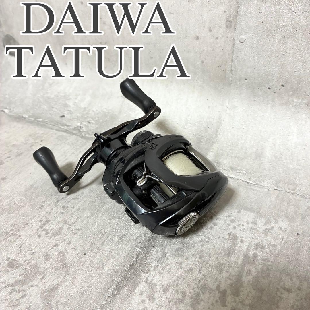 Daiwa 20 Tatula S TW Bait Reel