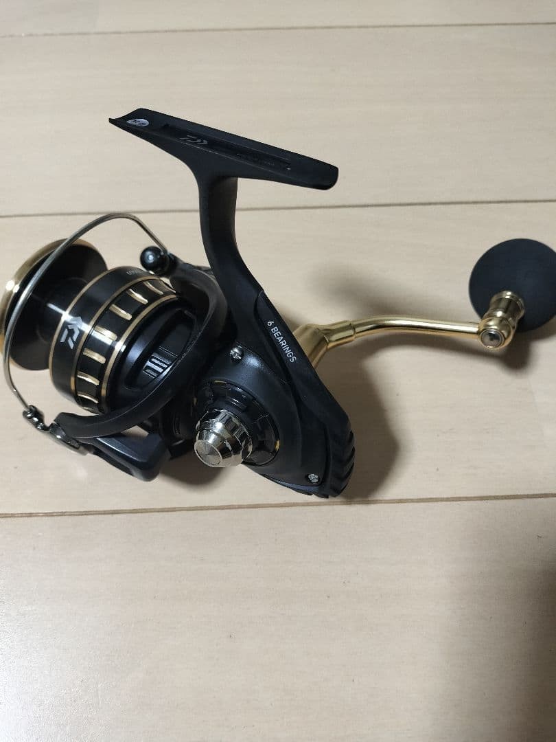 DAIWA 23 BG SW 6000D-H Spinning Reel DAIWA