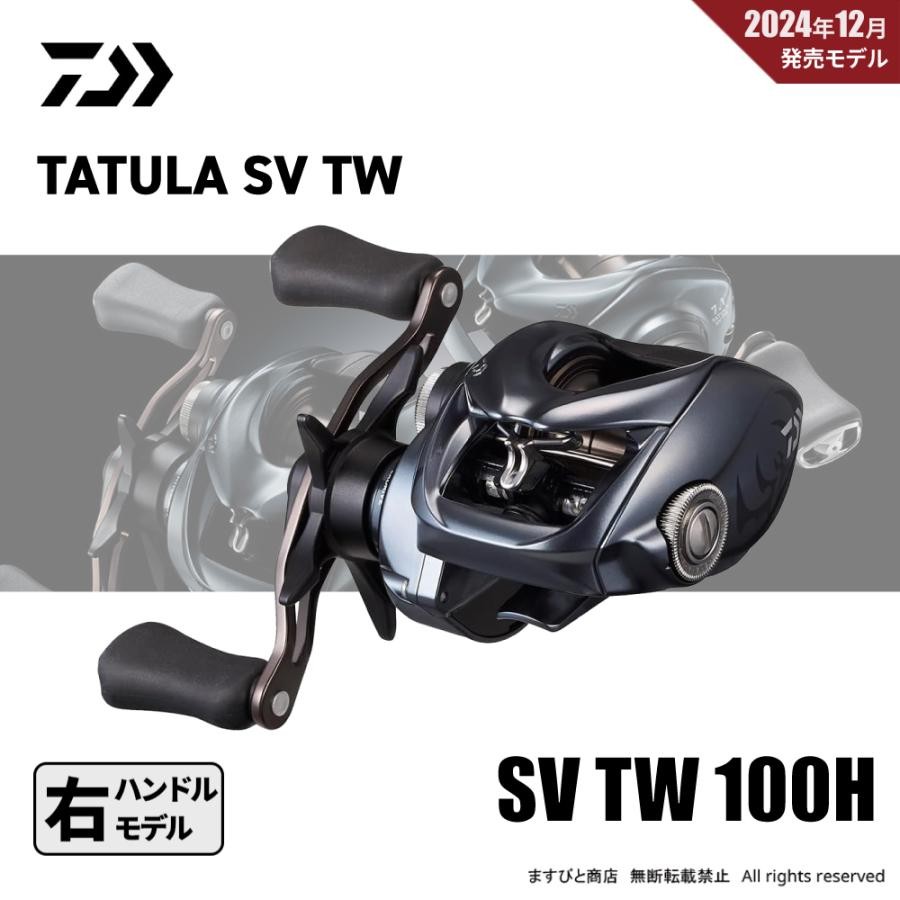 Daiwa 25 Tatula SV TW 100H Reel