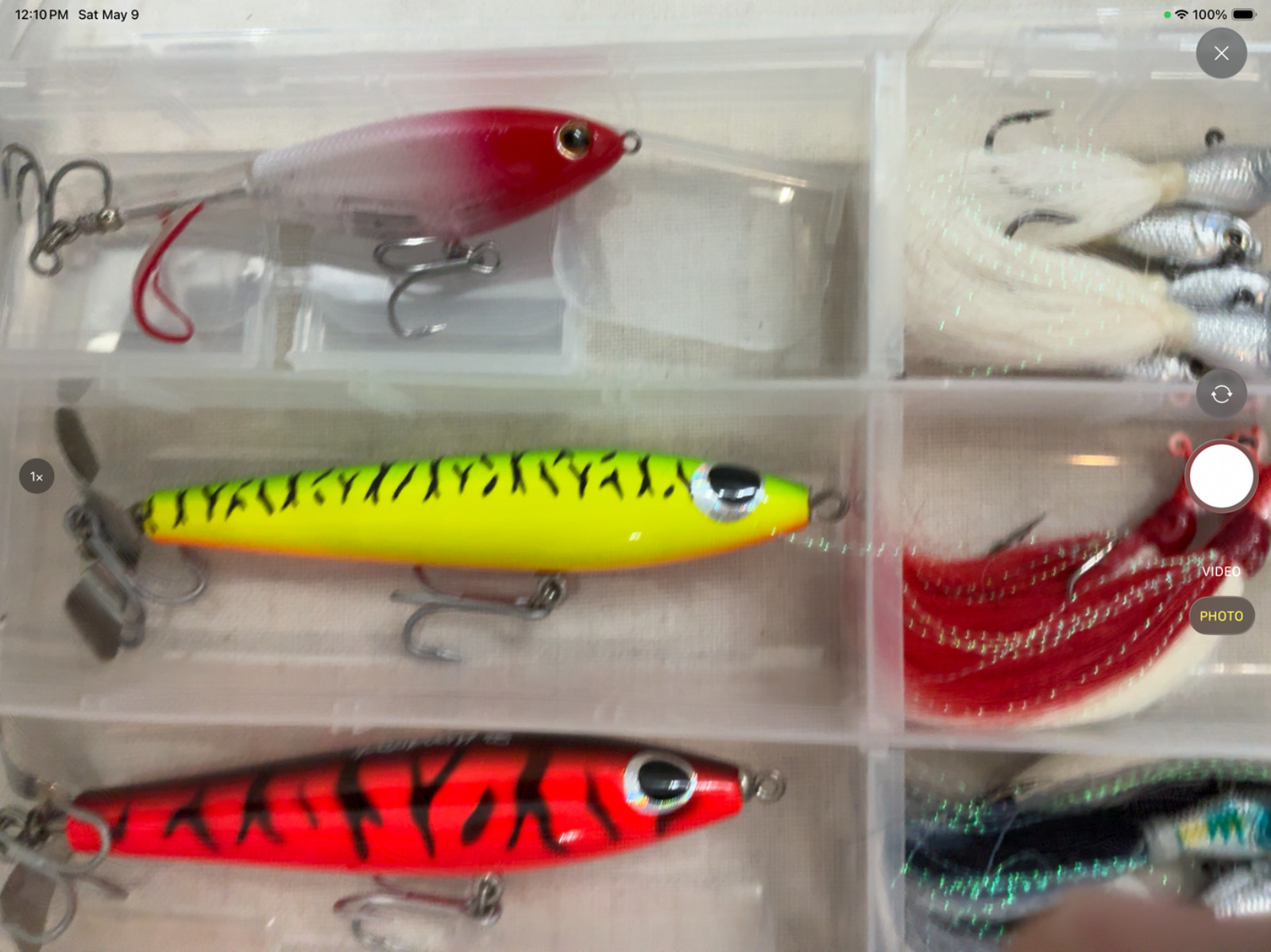 Ultimate Peacock Bass Lure Kit
