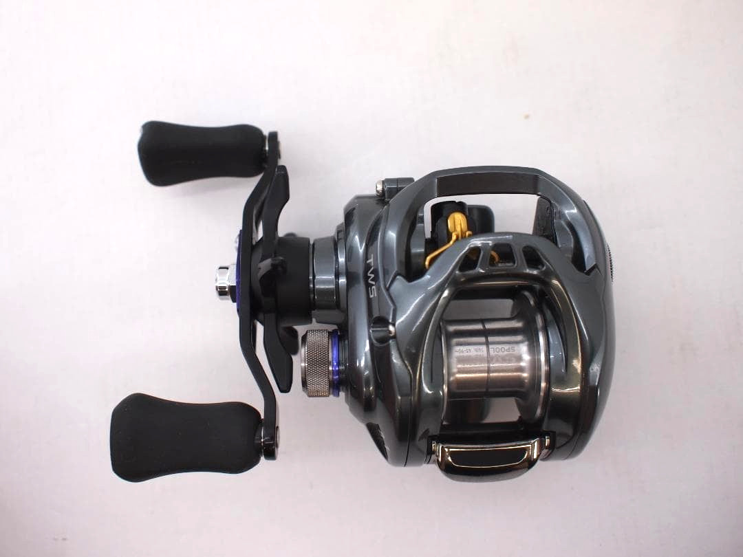 DAIWA TATULA SV TW 8.1L Baitcasting Reel